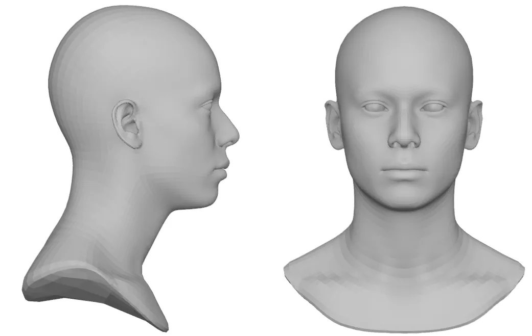 Head Views