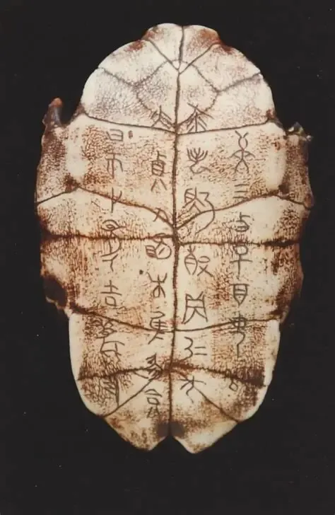 Chinese Fortune Telling Turtle Shell